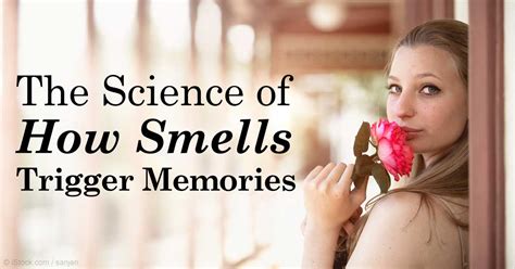 From Nature to Lab: Uncovering the Science behind Synthetic Fragrances